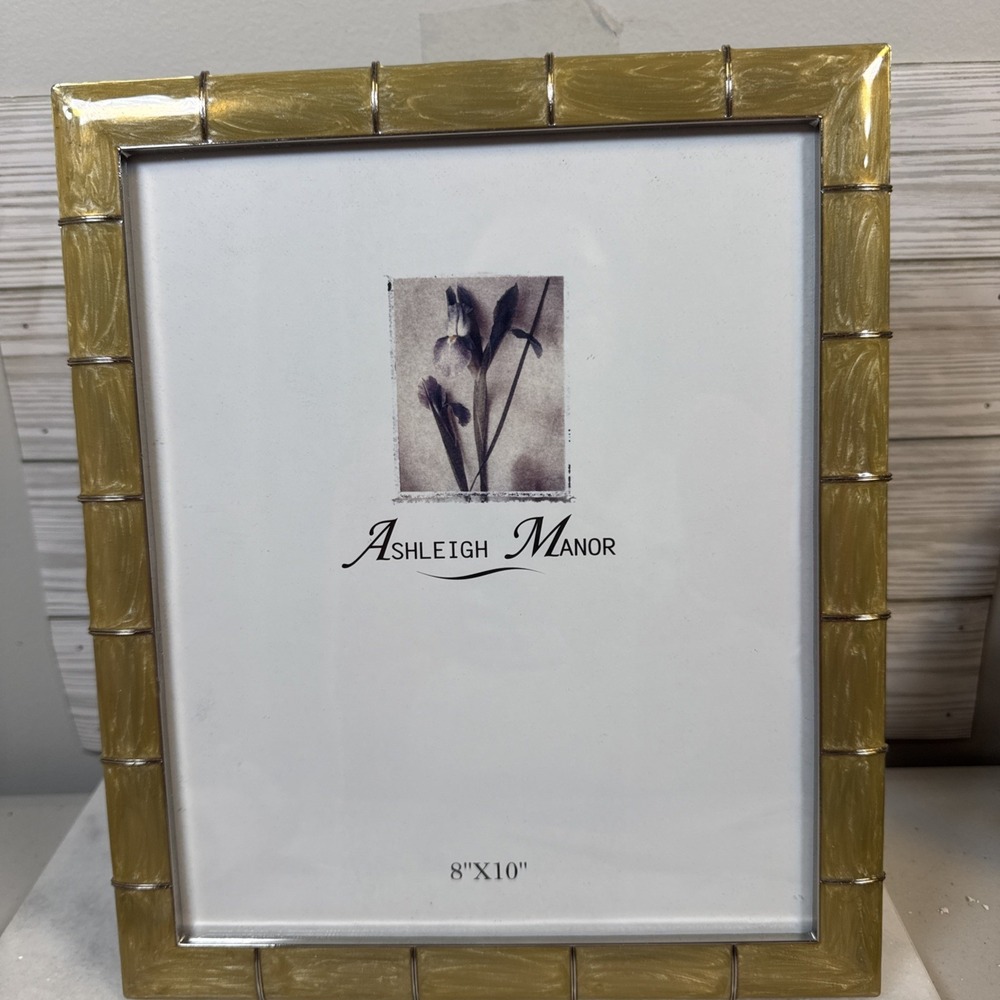 Ashleigh Manor Photo Picture Frame Pearlized Gold Enamel on Metal 8"x10"